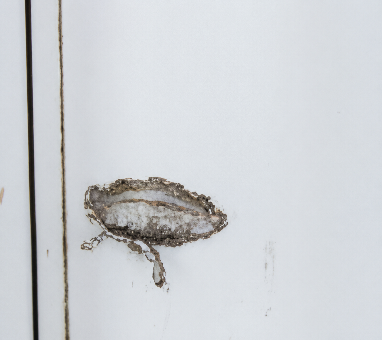 Concentrated impact damage on a Composite Stand column with exposed fibres